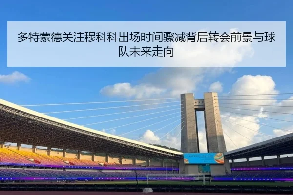 多特蒙德关注穆科科出场时间骤减背后转会前景与球队未来走向