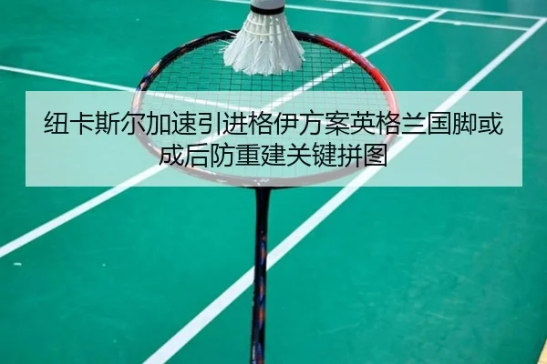 纽卡斯尔加速引进格伊方案英格兰国脚或成后防重建关键拼图